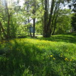 Wildtulpen Gaibach Konstitutionssäule Kreuzkapelle Unterfranken Wanderung