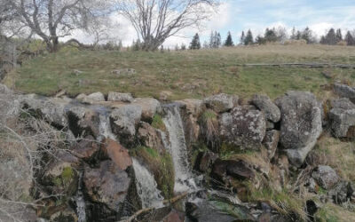 Singlewandern Eisgraben Rhön