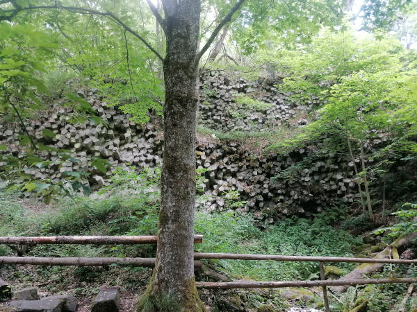 Singlewanderung Rhön
